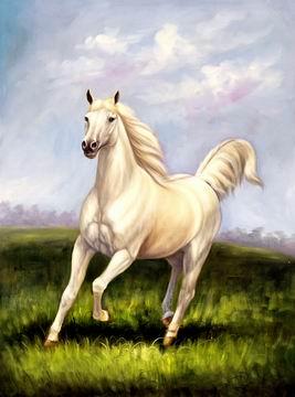 unknow artist Horses 021 France oil painting art